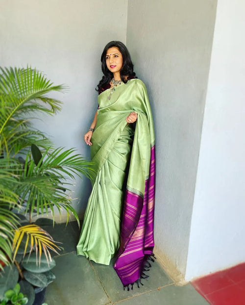 Alluring Classic Banarasi Zari Weaving Silk Saree